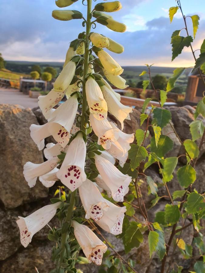 Howgill Farm Bolton Abbey Appletreewick Luaran gambar